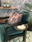 Silla de comedor Atena estilo Art Déco con acabado en negro ébano y terciopelo acanalado de Casa Botelho, Imagen 6