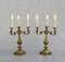 French Louis XV Revival Gilded Bronze Candelabra Table Lamps, 1950s, Set of 2, Image 8