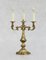 Französische Louis XV Revival Tischlampen aus vergoldeter Bronze in Kandelaber-Optik, 1950er, 2er Set 1