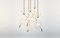 Nuvola Five-light Customizable Chandelier from Silvio Mondino Studio 1