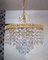 Deutscher Kronleuchter mit vergoldetem Messingrahmen & Behang aus Kristallglas von Palwa, 1960er 1