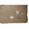 Courchevel Pillow by Katrin Herden for Sohildesign, Image 3