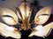 Italienischer Kronleuchter aus Muranoglas & Messing von Archimede Seguso für Seguso, 1960er 4