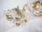 German Crystal and Brass Sconces by Christoph Palme, 1960s, Set of 2, Image 1