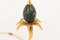 Palm Tree Table Lamp with Marble Egg from Maison Charles, 1970s 4