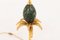 Palm Tree Table Lamp with Marble Egg from Maison Charles, 1970s, Image 4
