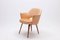 Leather Vegetal Armchair by Eero Saarinen for De Coene, 1960s 1