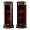 19th Century Rosewood Pedestal Cabinet, Image 10