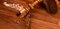 Mesa de comedor italiana antigua de palisandro y nogal, Imagen 13