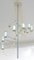 Mid-Century French Model A16 Chandelier by Alain Richard for Disderot, 1950s 1