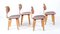 SB13 Dining Chairs by Cees Braakman for Pastoe, 1950s, Set of 4 7