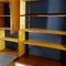 Mid-Century Wall Unit by Cees Braakman for Pastoe 5