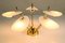 Vintage Austrian Brass and Acrylic Chandelier, 1950s 6