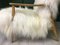 Mid-Century White Sheepskin Armchair, Image 10