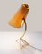 Lampada da tavolo tripode di Rupert Nikoll per Nikoll, anni '50, Immagine 3