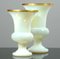 Vasen aus Opalglas von Vincenzo Nason für VNC, 1960er, 2er Set 6