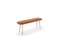 Terracotta L1400 Naïve Bench by Etc.etc. for Emko, Image 1