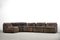 Leather 144 Sofas by Friedrich Hill for Walter Knoll / Wilhelm Knoll, 1970s, Set of 5 2