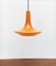 Mid-Century Tulip Glass Pendant Lamp from Peill & Putzler, 1960s 14