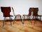 Bentwood Dining Chairs by Carlo Ratti for Società Compensati Curvi, 1950s, Set of 4, Image 11