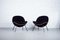 Lounge Chairs by Fritz Neth for Correcta, 1950s, Set of 2, Image 1