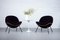 Lounge Chairs by Fritz Neth for Correcta, 1950s, Set of 2, Image 5