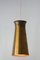 Lámpara colgante alemana Mid-Century de latón, años 50, Imagen 12