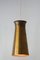 Mid-Century German Brass Pendant Lamp, 1950s, Image 12