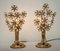 Mid-Century Italian Crystal and Brass Sconces, 1960s, Set of 2 2