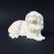 Figura de perro pekinés japonesa de Erich Hösel para Meissen, años 50, Imagen 1