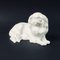 Japanese Chin Figurine by Erich Hösel for Meissen, 1950s, Image 1