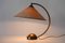 Large Mid-Century German Table Lamp from Pitt Müller, 1950s, Image 7