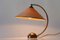Large Mid-Century German Table Lamp from Pitt Müller, 1950s, Image 9