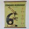 Vintage Standar Microscope Wall Chart from Zeiss Winkel, 1940s 2