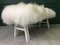 White Fluffy Sheepskin Bench by Area Design Ltd 3