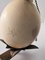 Applique a forma di uovo di struzzo, anni '60, Immagine 5