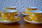 Coffee Set from Faïencerie de Sarreguemines, 1950s, Set of 12 5