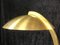 Vintage Brass Desk Lamp by Egon Hillebrand for Hillebrand Lighting, Image 23