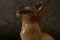 Mid-Century Porcelain Siamese Cat Figurine by Svend Jespersen for Bing & Grondahl, Image 8