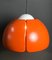 Pendant Lamp from Temde, 1970s, Image 1