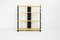 Vintage Swiss Modular Shelf by Wilhelm Kienzle for Embru Werke, 1930s 1