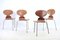 Chaises Ant Mid-Century par Arne Jacobsen pour Fritz Hansen, Set de 4 7