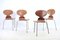 Mid-Century Ant Chairs by Arne Jacobsen for Fritz Hansen, Set of 4, Image 7