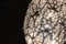 Arabesque Egg 50 - G9 Led Wandlampe von VG Design and Laboratory Department 4