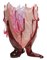 Clear Special Vase by Gaetano Pesce for Fish Design, Image 1