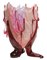 Vase Transparent par Gaetano Pesce pour Fish Design 1