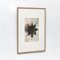 Black & White Flower Photogravure Botanic Photography by Karl Blossfeldt, 1942 3