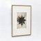 Photographie Botanique Photogravure Fleur Noire et Blanche par Karl Blossfeldt, 1942 3