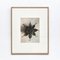 Black & White Flower Photogravure Botanic Photography by Karl Blossfeldt, 1942 1