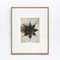 Schwarz-weiße Blumen-Tiefdruck-Botanik Fotografie von Karl Blossfeldt, 1942 1